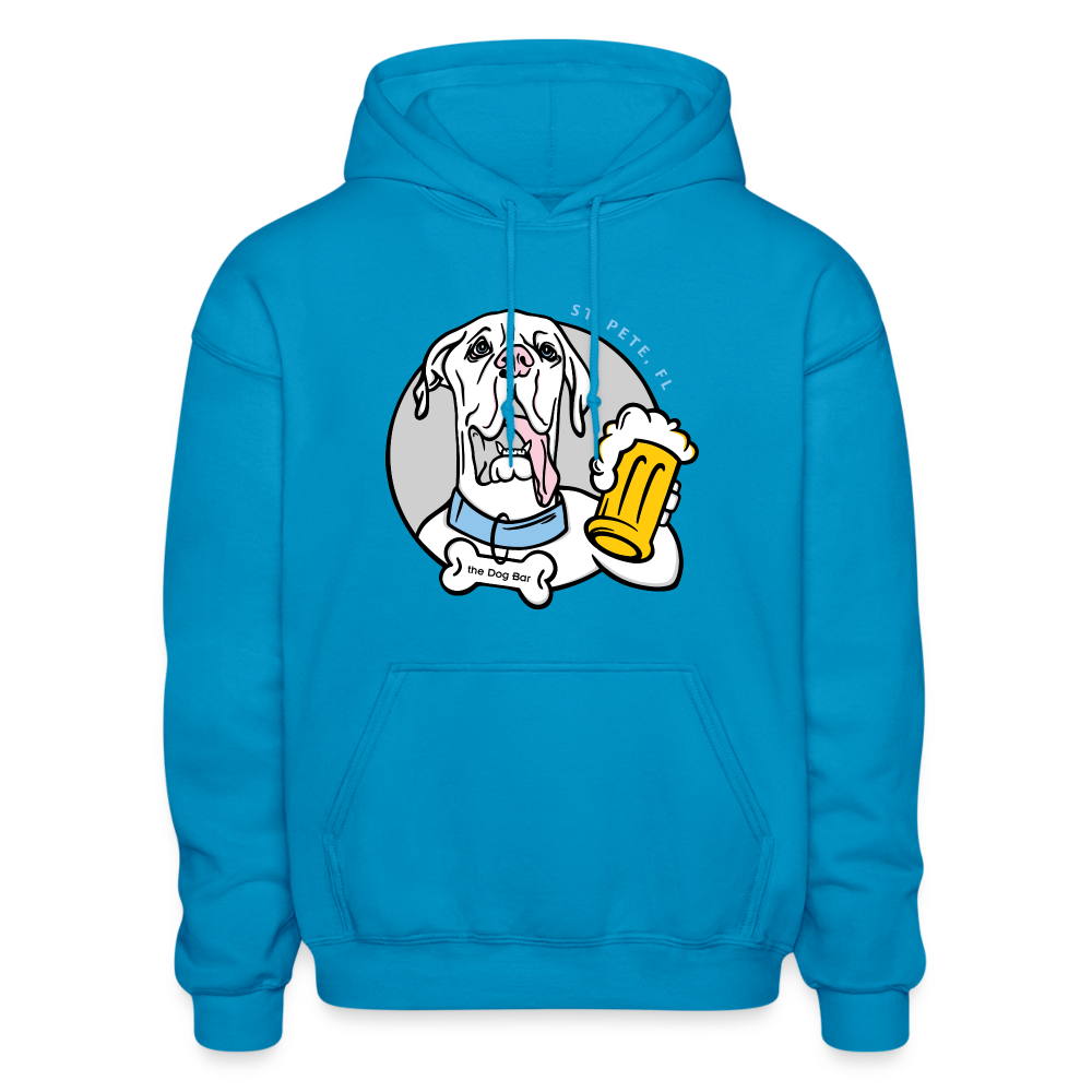 DB - Logo Unisex Hoodie - turquoise